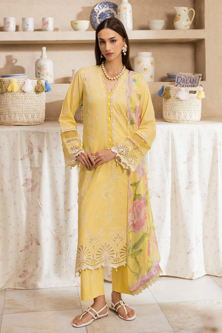 Nissa Chikankari Exclusive