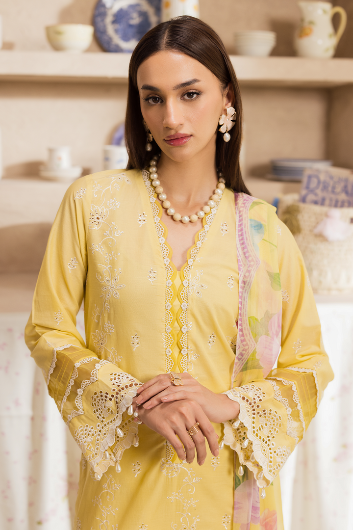 Nissa Chikankari Exclusive