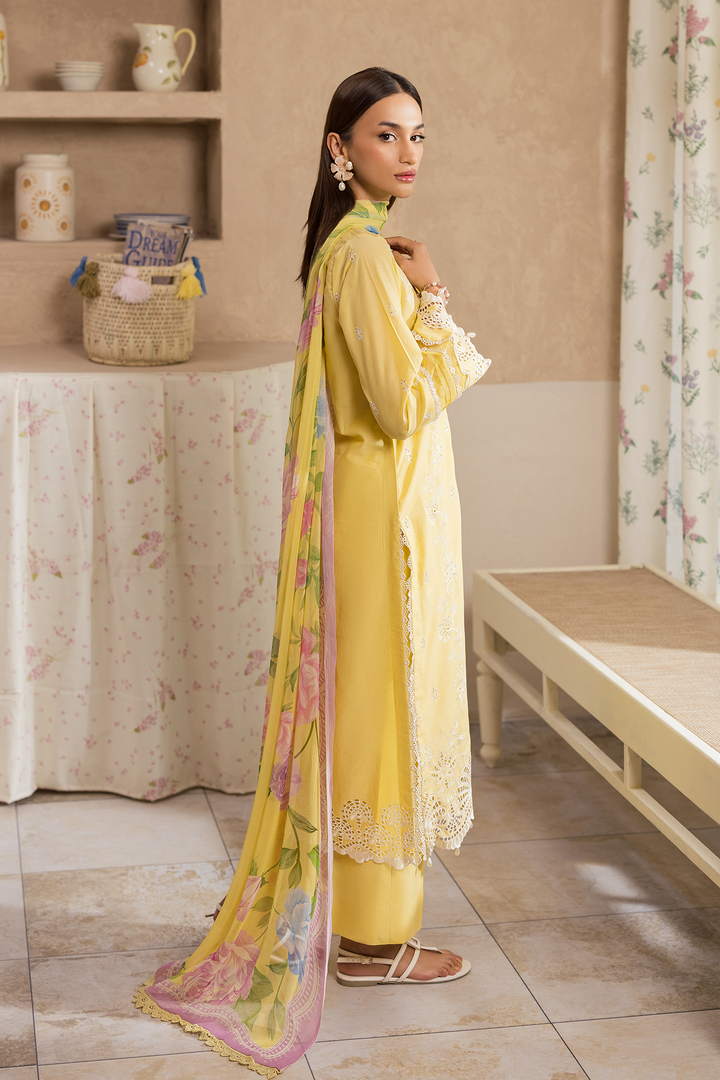 Nissa Chikankari Exclusive