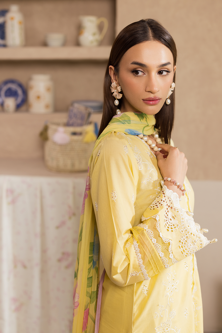 Nissa Chikankari Exclusive