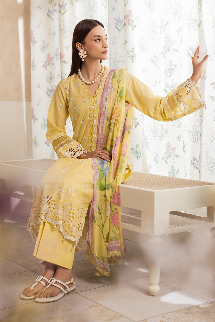 Nissa Chikankari Exclusive