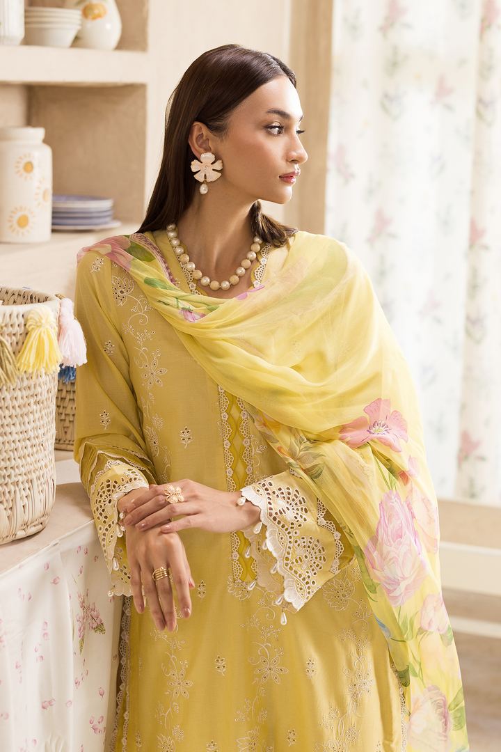 Nissa Chikankari Exclusive