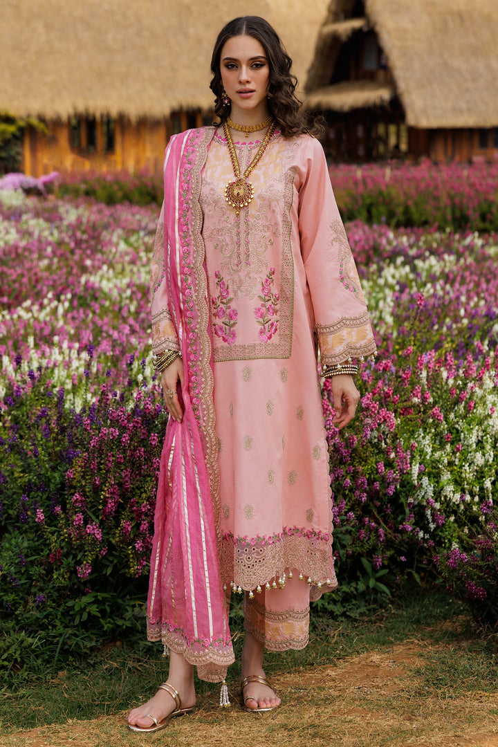 3-PC Unstitched Embroidered Lawn Collection