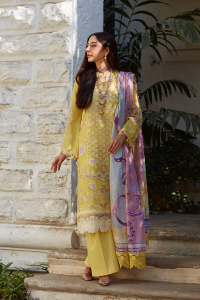 Unstitched Chikankari Lawn