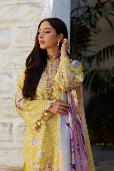 Unstitched Chikankari Lawn
