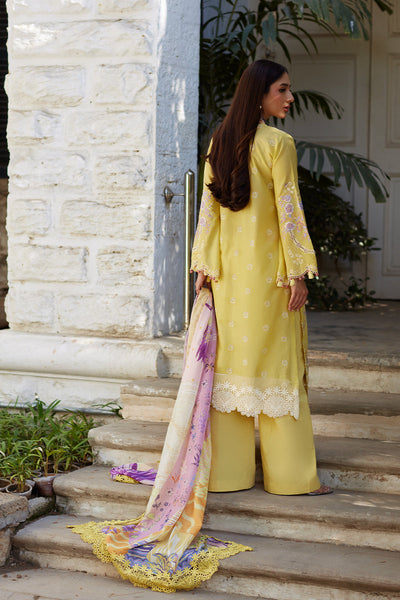 Unstitched Chikankari Lawn