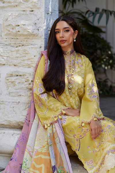 Unstitched Chikankari Lawn