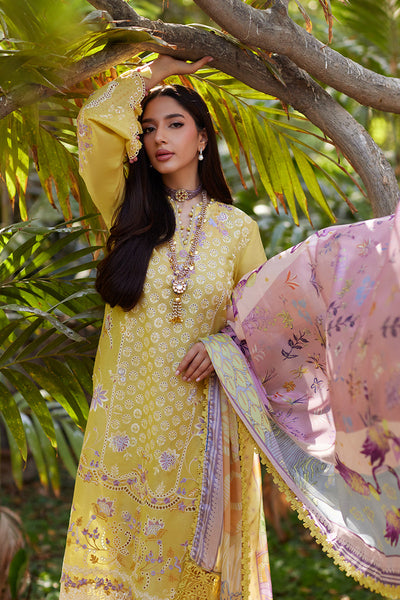 Unstitched Chikankari Lawn