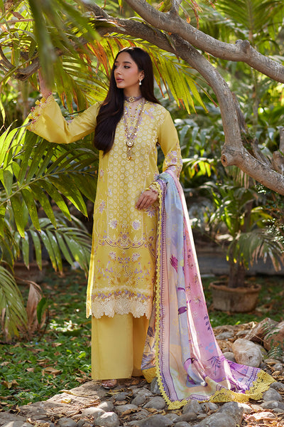 Unstitched Chikankari Lawn