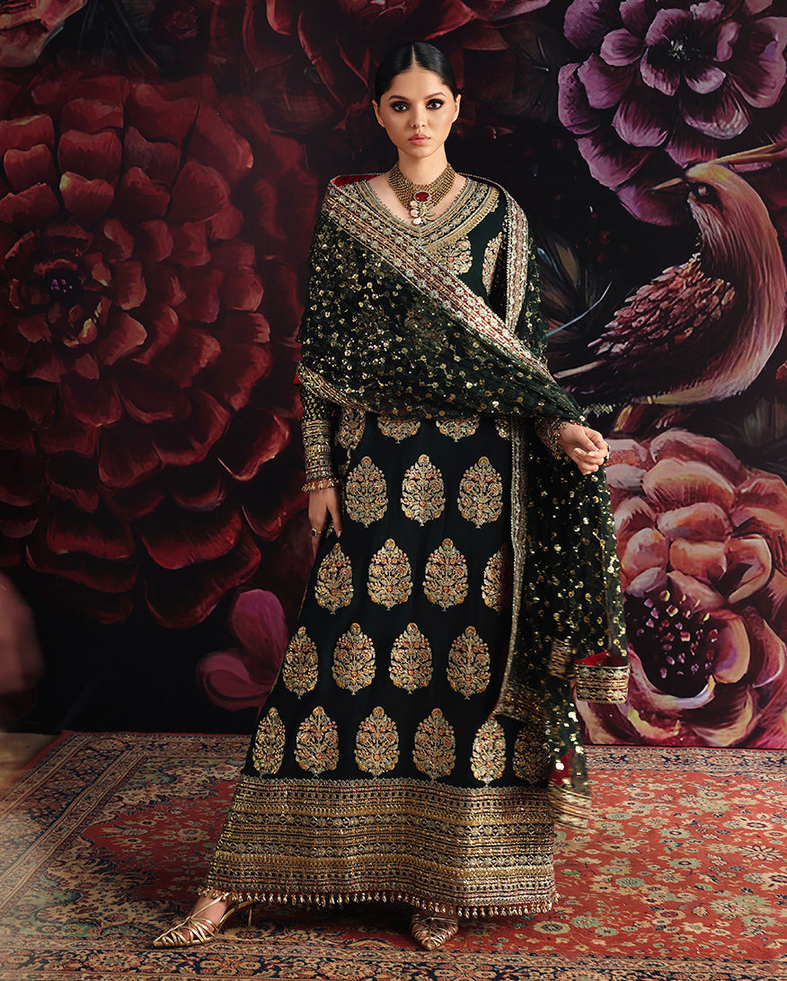 Royale Eternel | Chiffon Edit