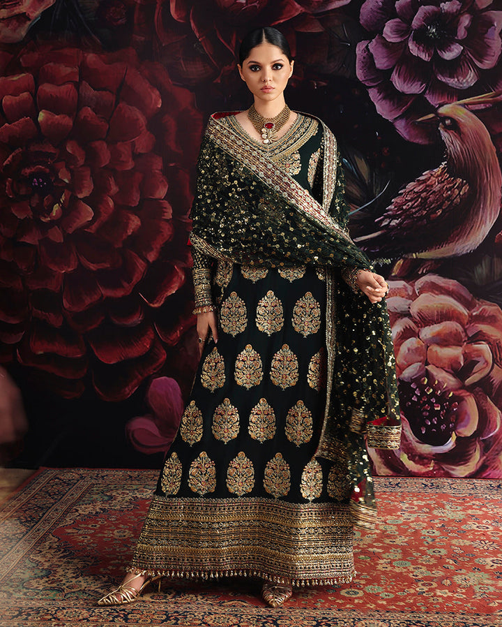 Royale Eternel | Chiffon Edit