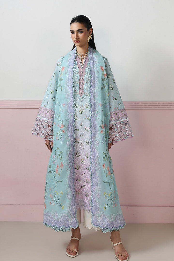 qprints-drop-ii-26
