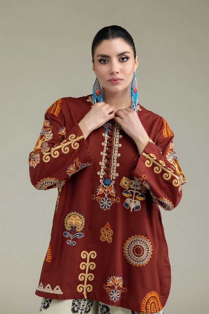 Embroidered | Raw Silk Rust Silk 3 Pc