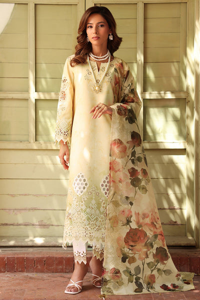 Embroidered Printed Lawn