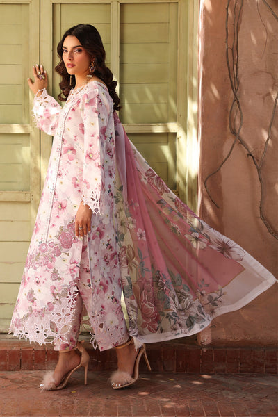 Embroidered Printed Lawn