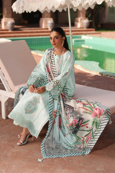 Embroidered Printed Lawn