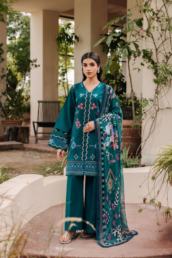 Festive Luxury Lawn &