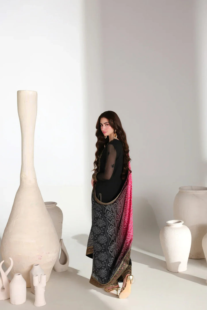 ENSEMBLES Embroidered 3pcs