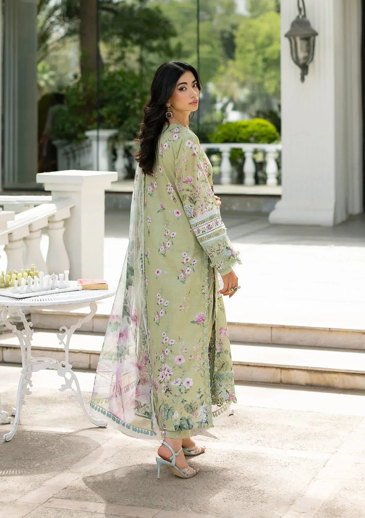 Signature Embroidered Lawn with Chiffon Collection Vol II &
