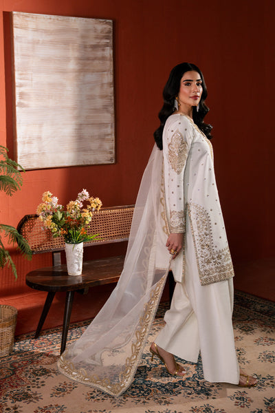 Raw Silk Embroidered Dress Pret