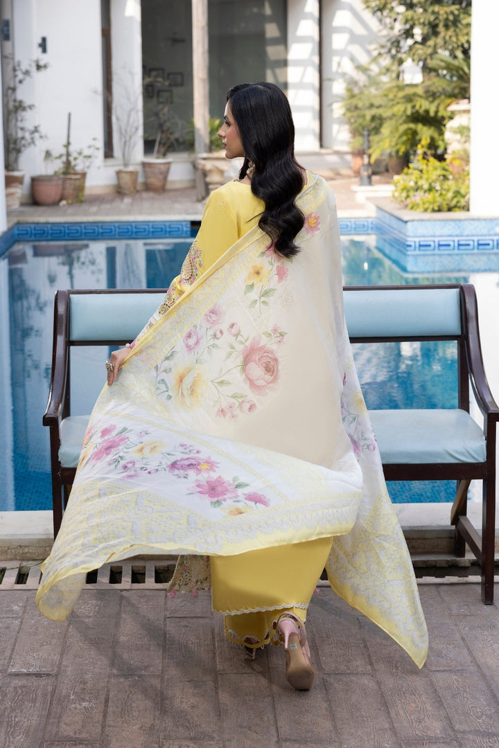 Dil Kash CHIKANKARI  LAWN
