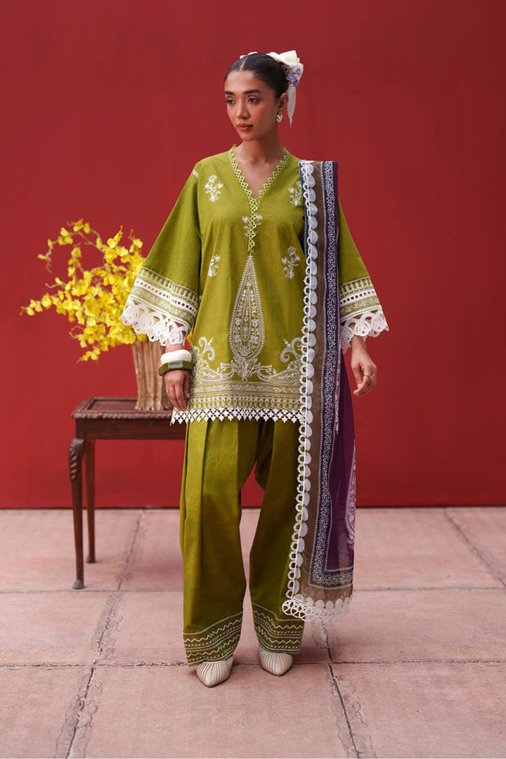 laanem Lawn Collections