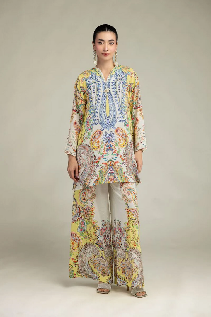 Embroidered | Raw Silk Short Silk Kurta