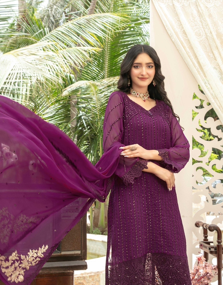 Nuresa Embroidered Fancy Chiffon