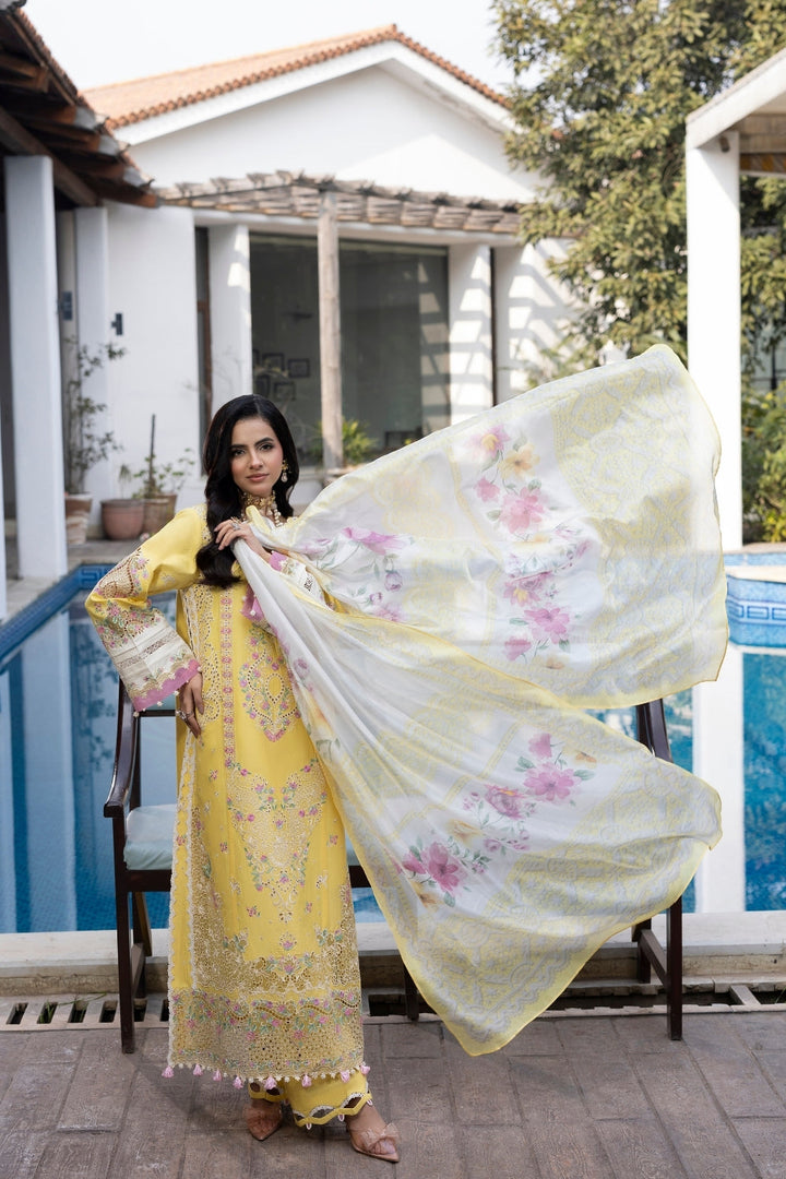 Dil Kash CHIKANKARI  LAWN