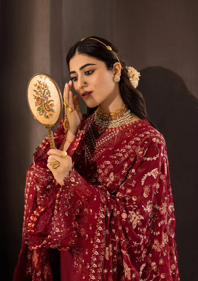 Karandi with Embroidered Chiffon