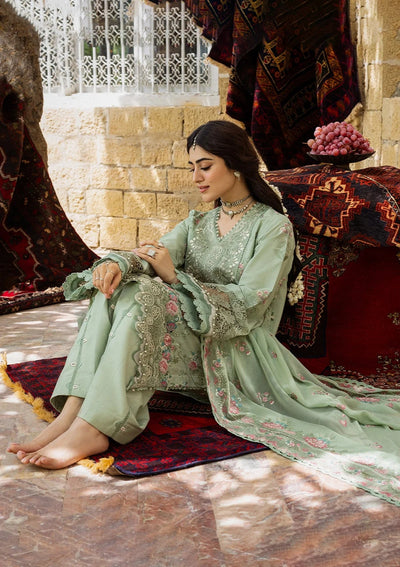 Karandi with Embroidered Chiffon