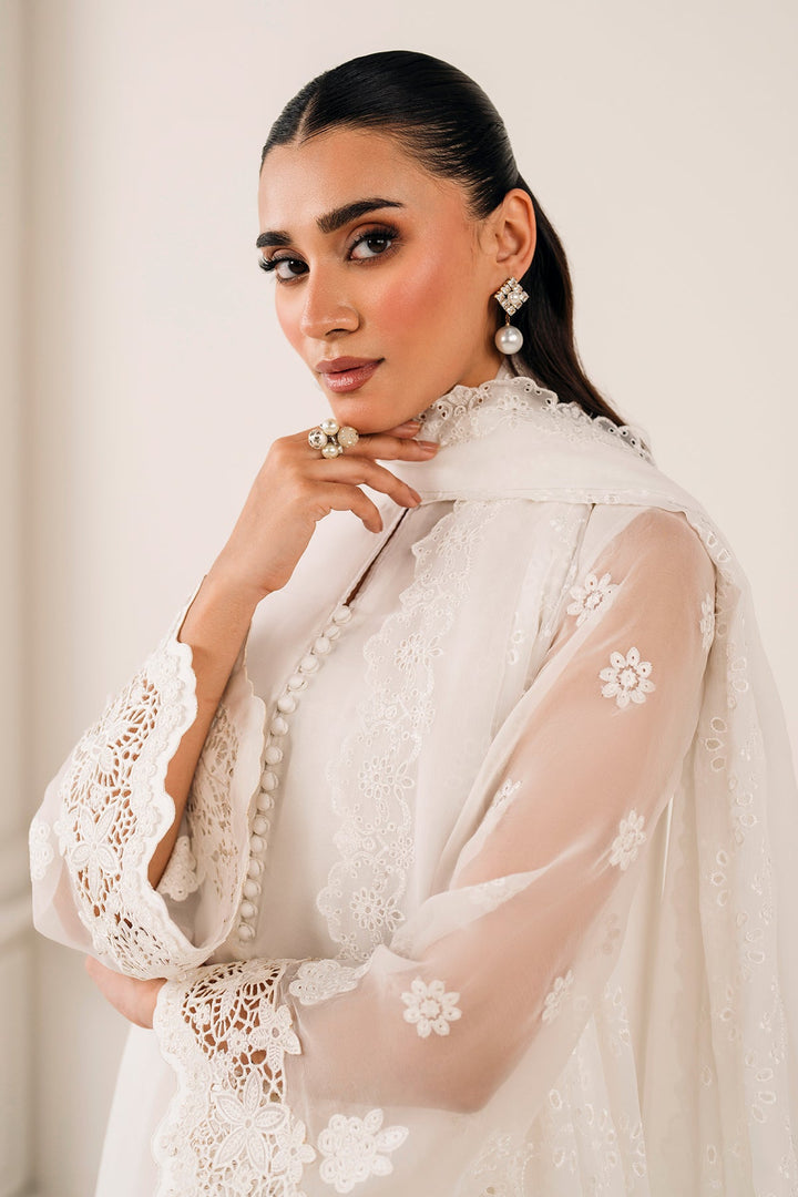 EMBROIDERED CHIFFON DUPATTA 73