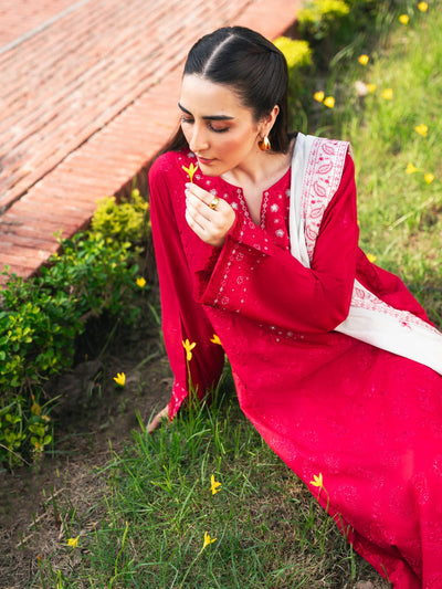 2 Piece - Pure Embroidered Cambric Suit