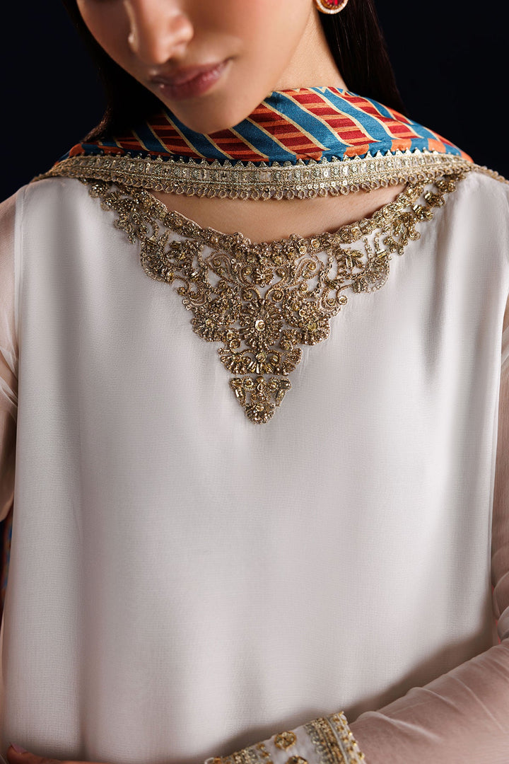 EMBROIDERED CHIFFON
