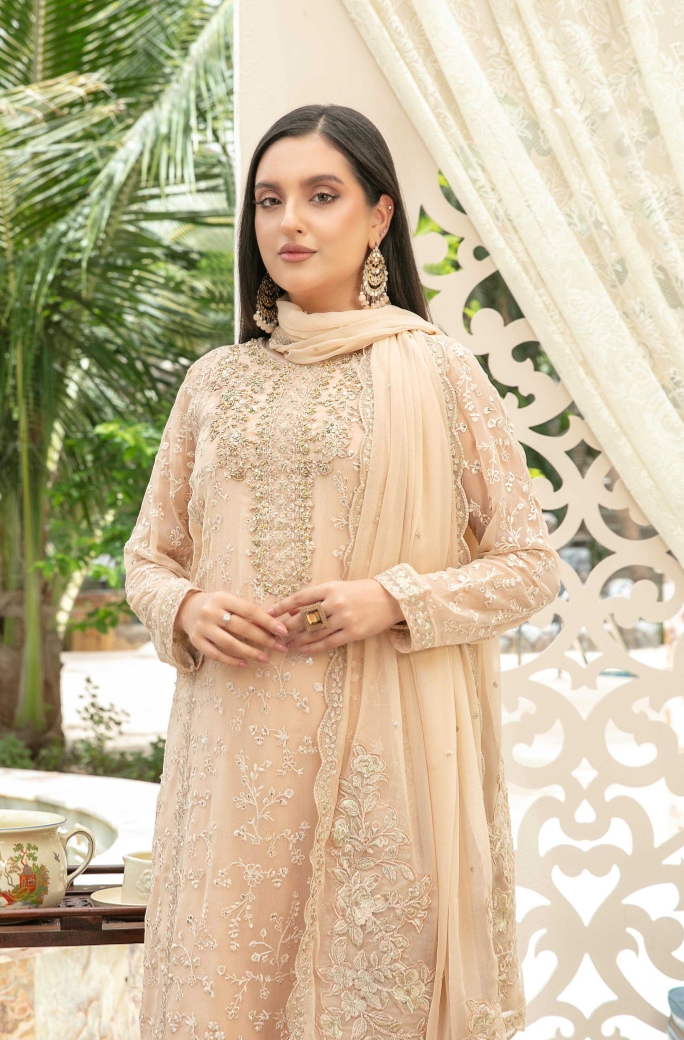Nuresa Embroidered Fancy Chiffon