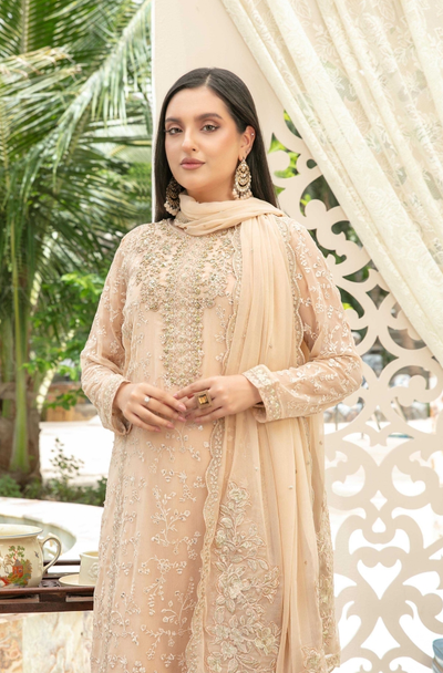 Nuresa Embroidered Fancy Chiffon