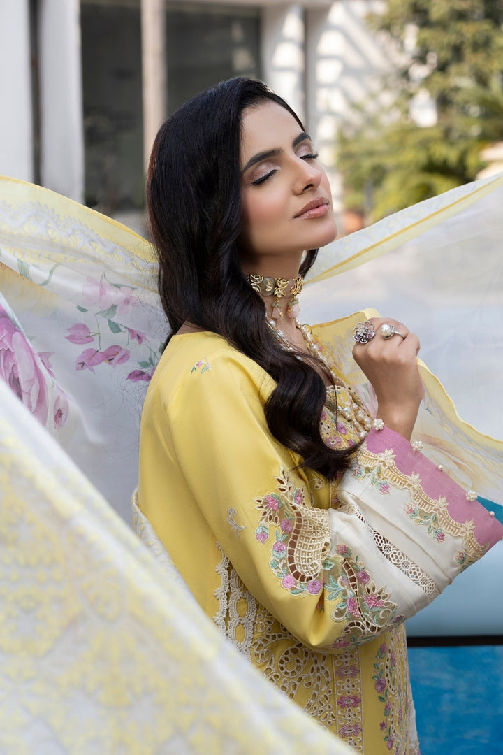 Dil Kash CHIKANKARI  LAWN