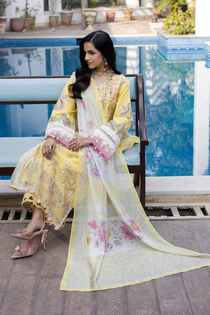 Dil Kash CHIKANKARI  LAWN