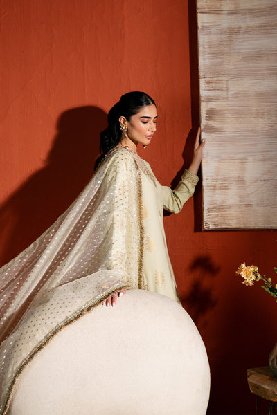 Raw Silk Embroidered Dress Pret