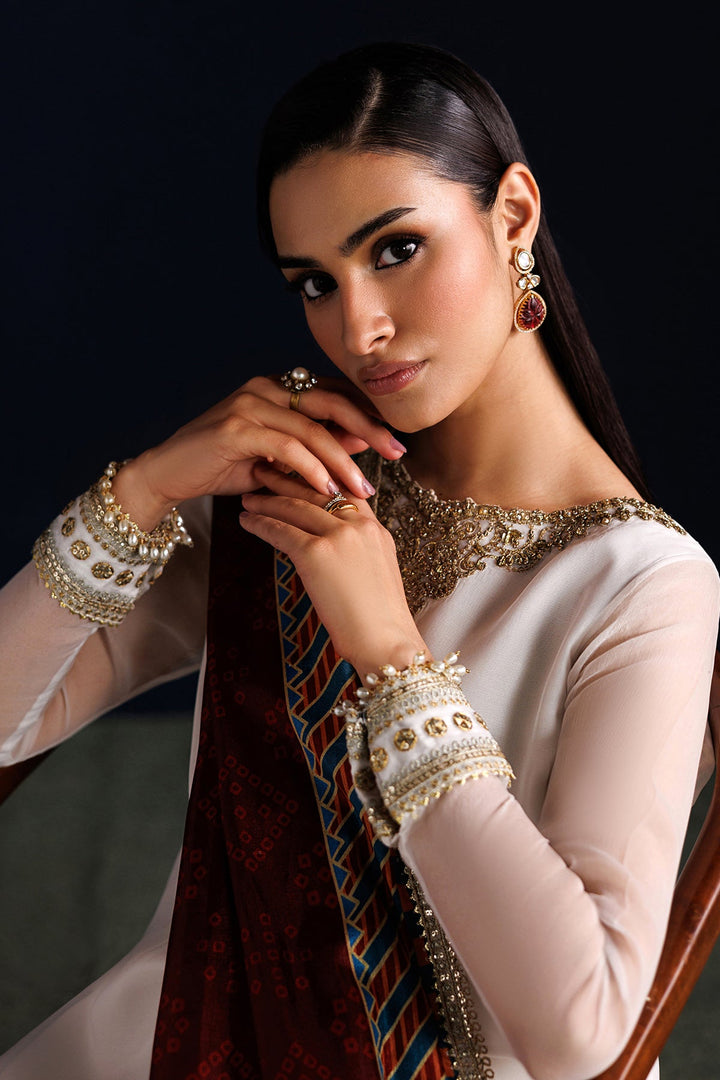 EMBROIDERED CHIFFON
