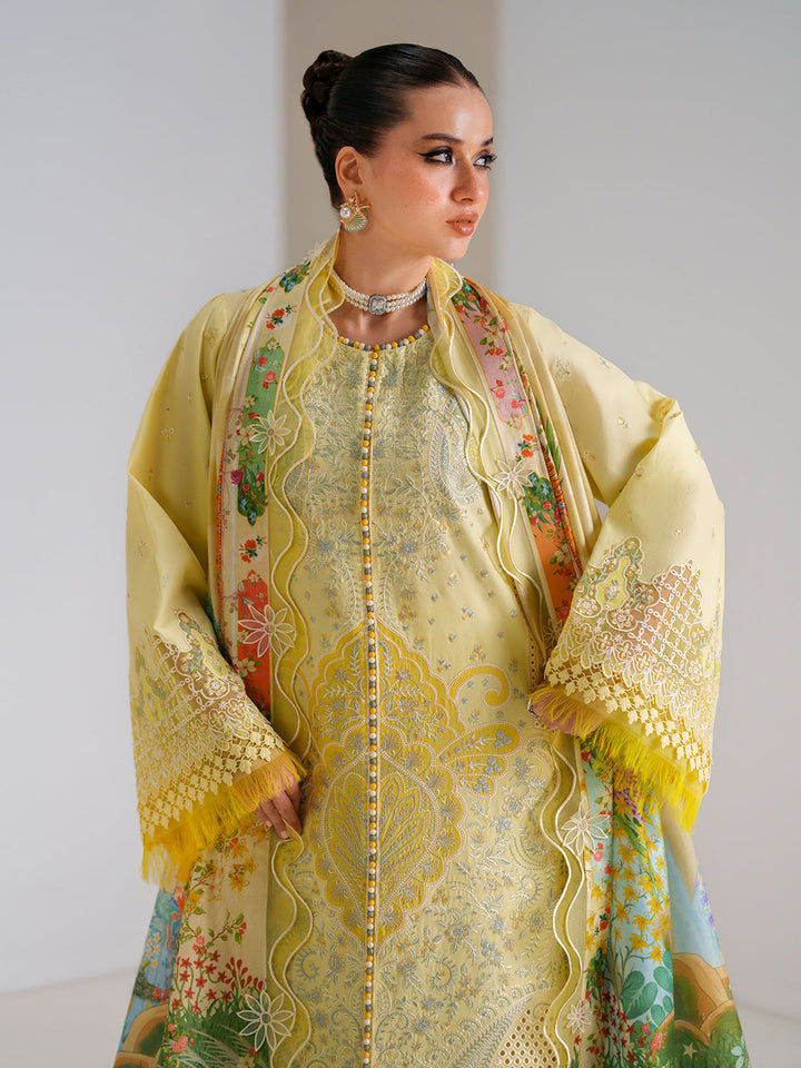 amour-luxury-lawn-26