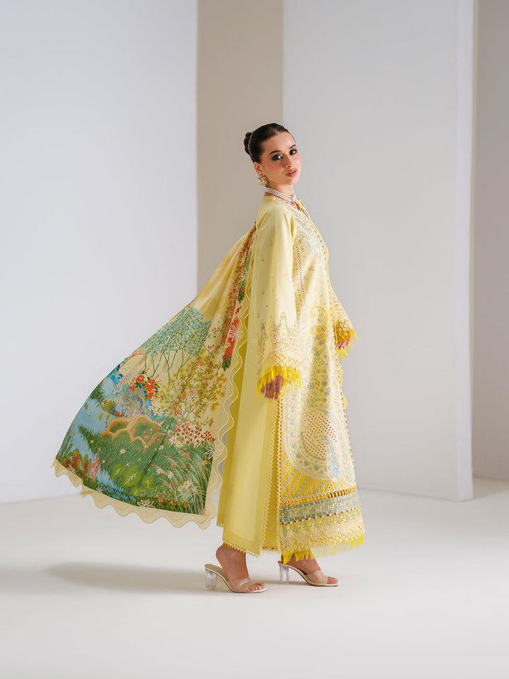 amour-luxury-lawn-26
