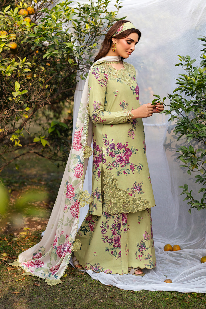 Printed Lawn