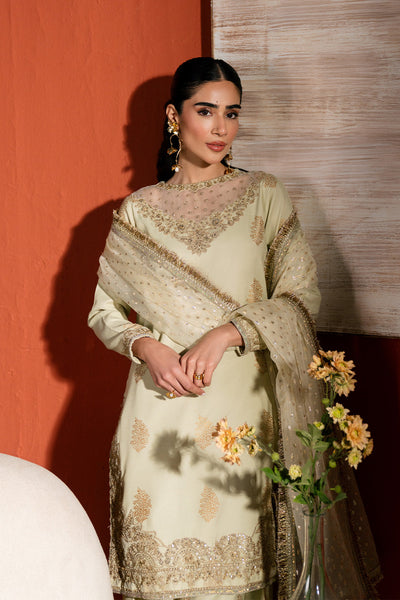 Raw Silk Embroidered Dress Pret