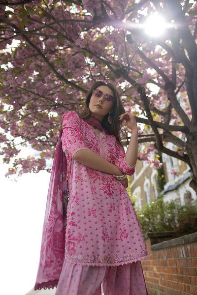 SN Basics Unstitched Lawn