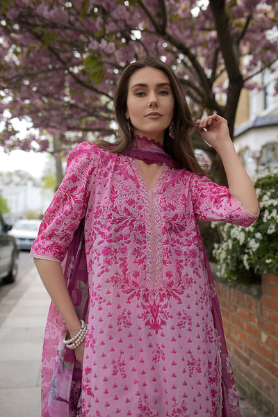 SN Basics Unstitched Lawn