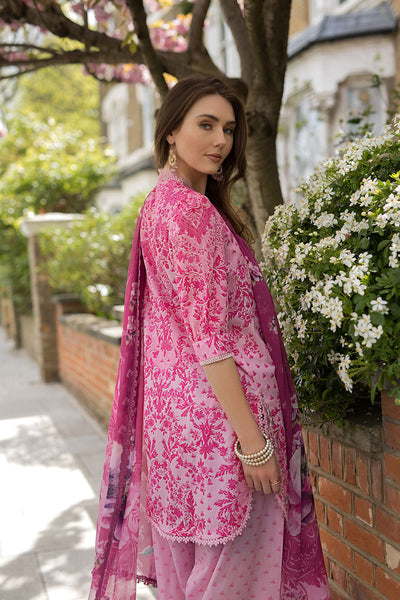 SN Basics Unstitched Lawn