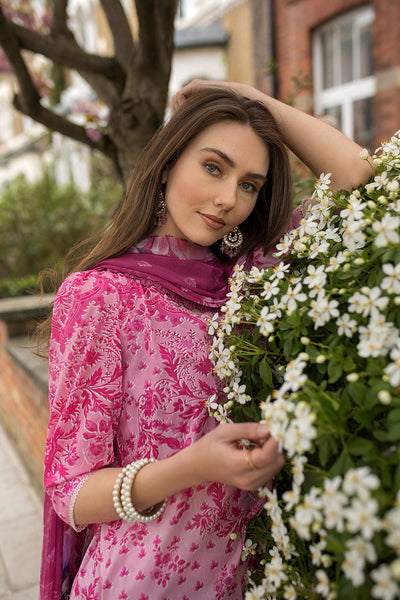 SN Basics Unstitched Lawn