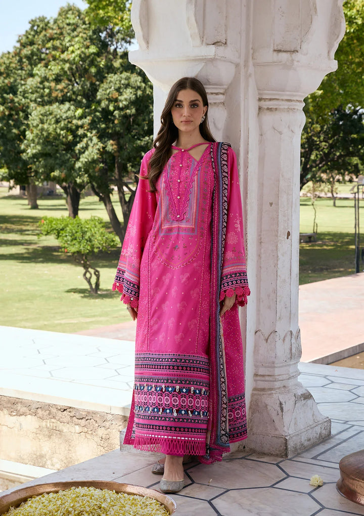 PRINTS CHIFFON COLLECTION &