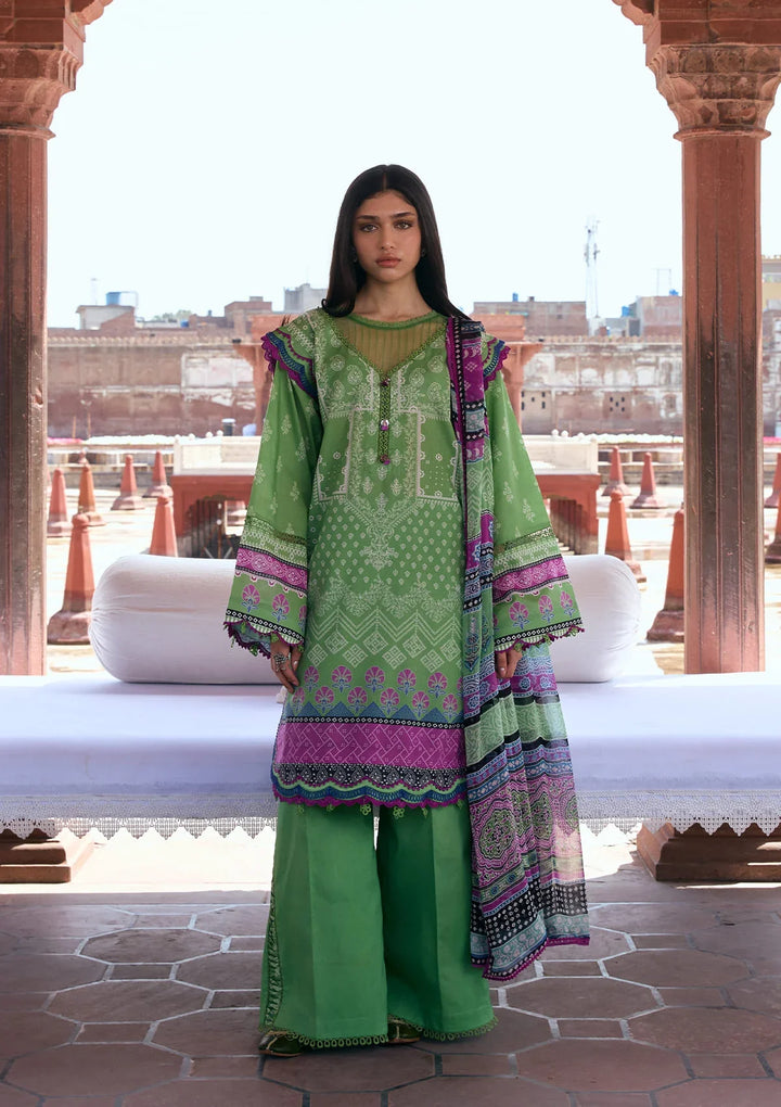 PRINTS CHIFFON COLLECTION &